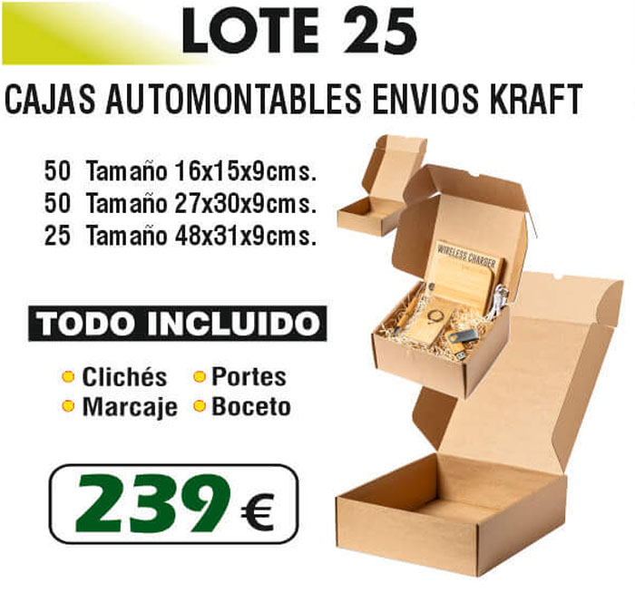Lote de cajas Número 25