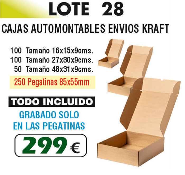 Lote de cajas Número 28